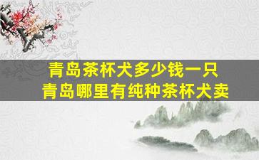 青岛茶杯犬多少钱一只 青岛哪里有纯种茶杯犬卖